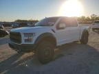 2019 FORD F150 RAPTO - 1FTFW1RG6KFB68157