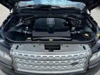 Lot #3022563811 2016 LAND ROVER RANGE ROVE