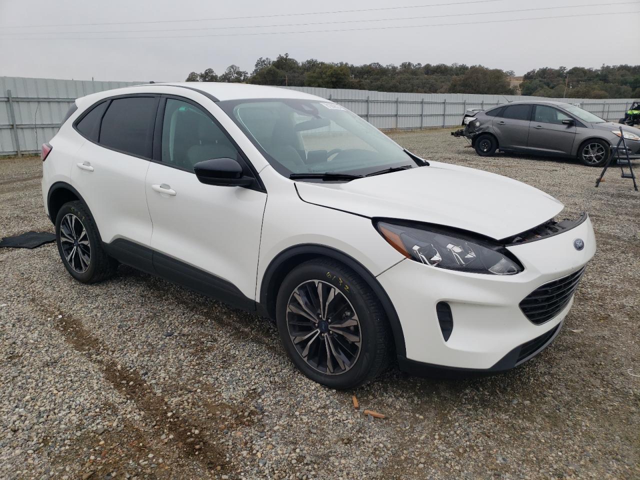 Lot #3028419232 2022 FORD ESCAPE SE