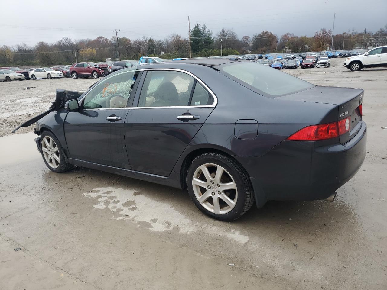 Lot #3028333784 2005 ACURA TSX