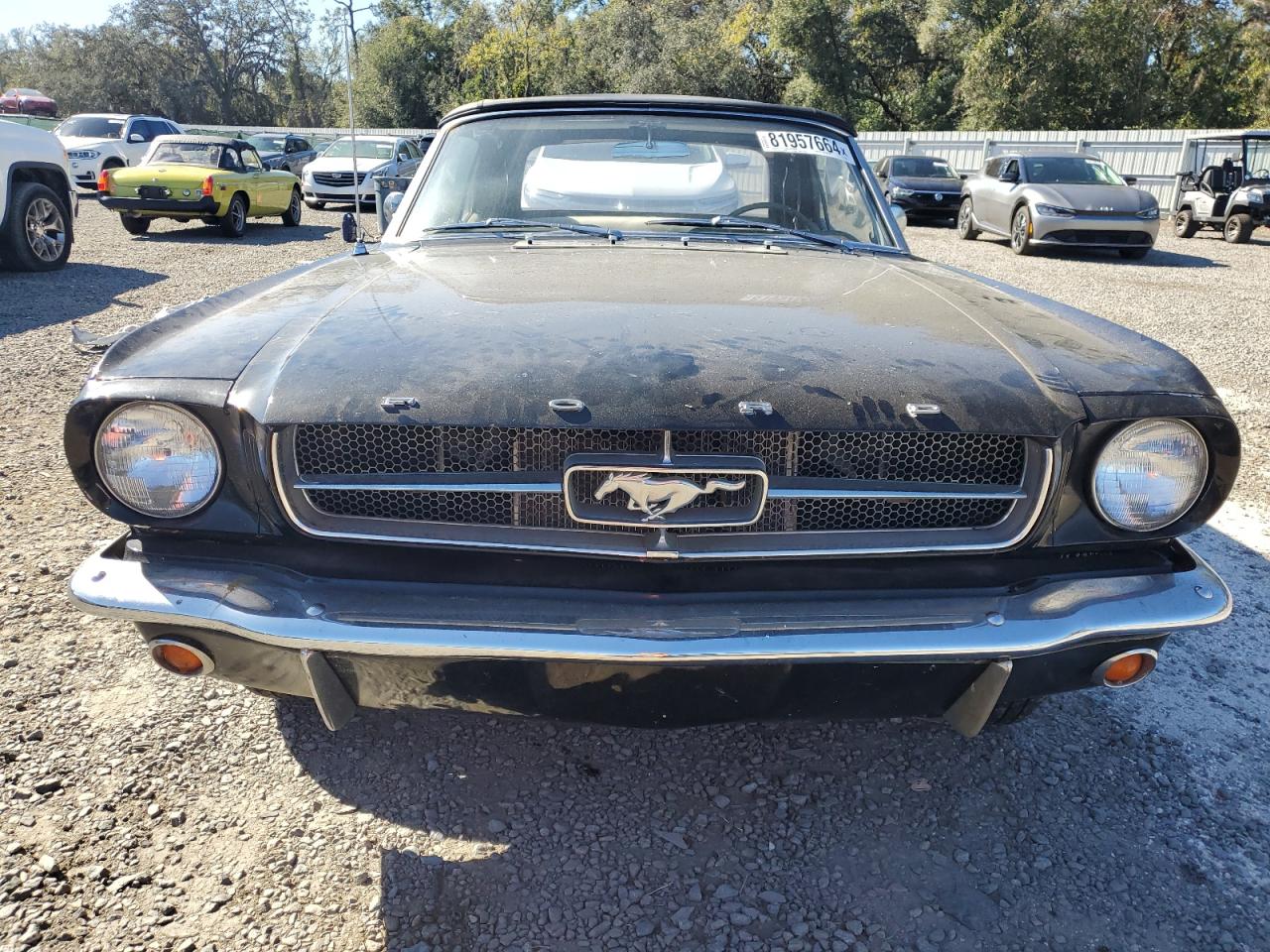 Lot #3032816045 1965 FORD MUSTANG