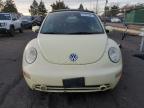 Lot #2996851926 2005 VOLKSWAGEN NEW BEETLE