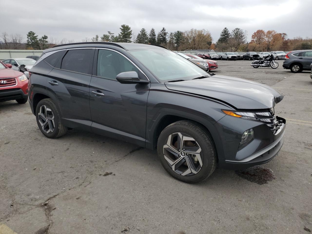 Lot #3033236849 2024 HYUNDAI TUCSON SEL