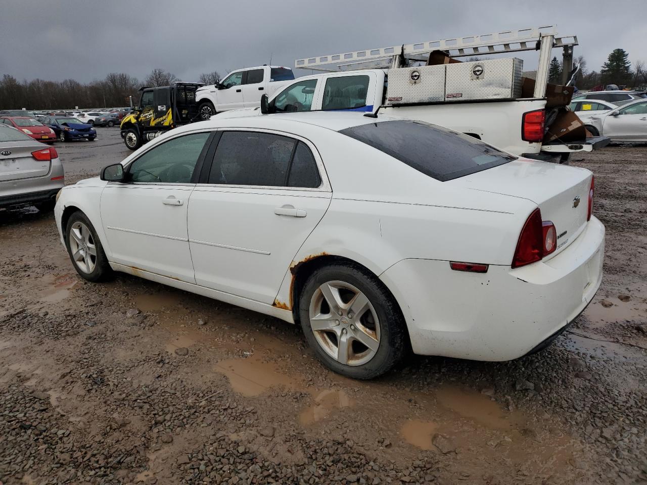 Lot #3033012034 2011 CHEVROLET MALIBU LS