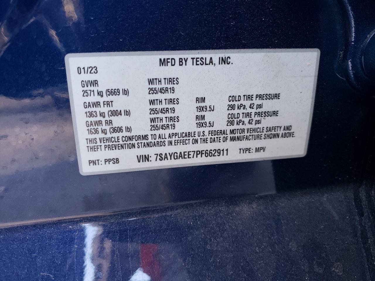 Lot #2989167736 2023 TESLA MODEL Y