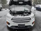 Lot #3024446543 2019 FORD ESCAPE S