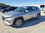 2024 HYUNDAI TUCSON SE - 5NMJA3DE4RH397573