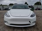 TESLA MODEL Y photo