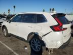 Lot #3030858503 2024 HONDA CR-V EX