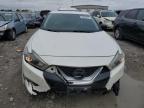 Lot #3004455795 2016 NISSAN MAXIMA 3.5