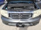 HONDA PILOT EXL photo