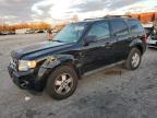 Lot #3025040258 2011 FORD ESCAPE XLT