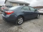 Lot #3034365075 2014 TOYOTA COROLLA EC