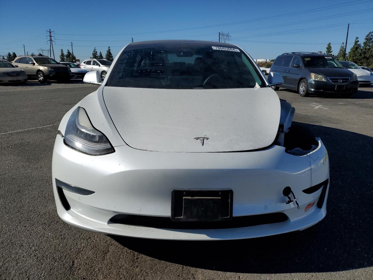 Lot #2989217765 2020 TESLA MODEL 3