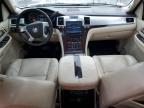 Lot #3024298830 2007 CADILLAC ESCALADE L