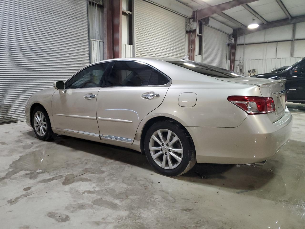 Lot #3021076358 2011 LEXUS ES 350