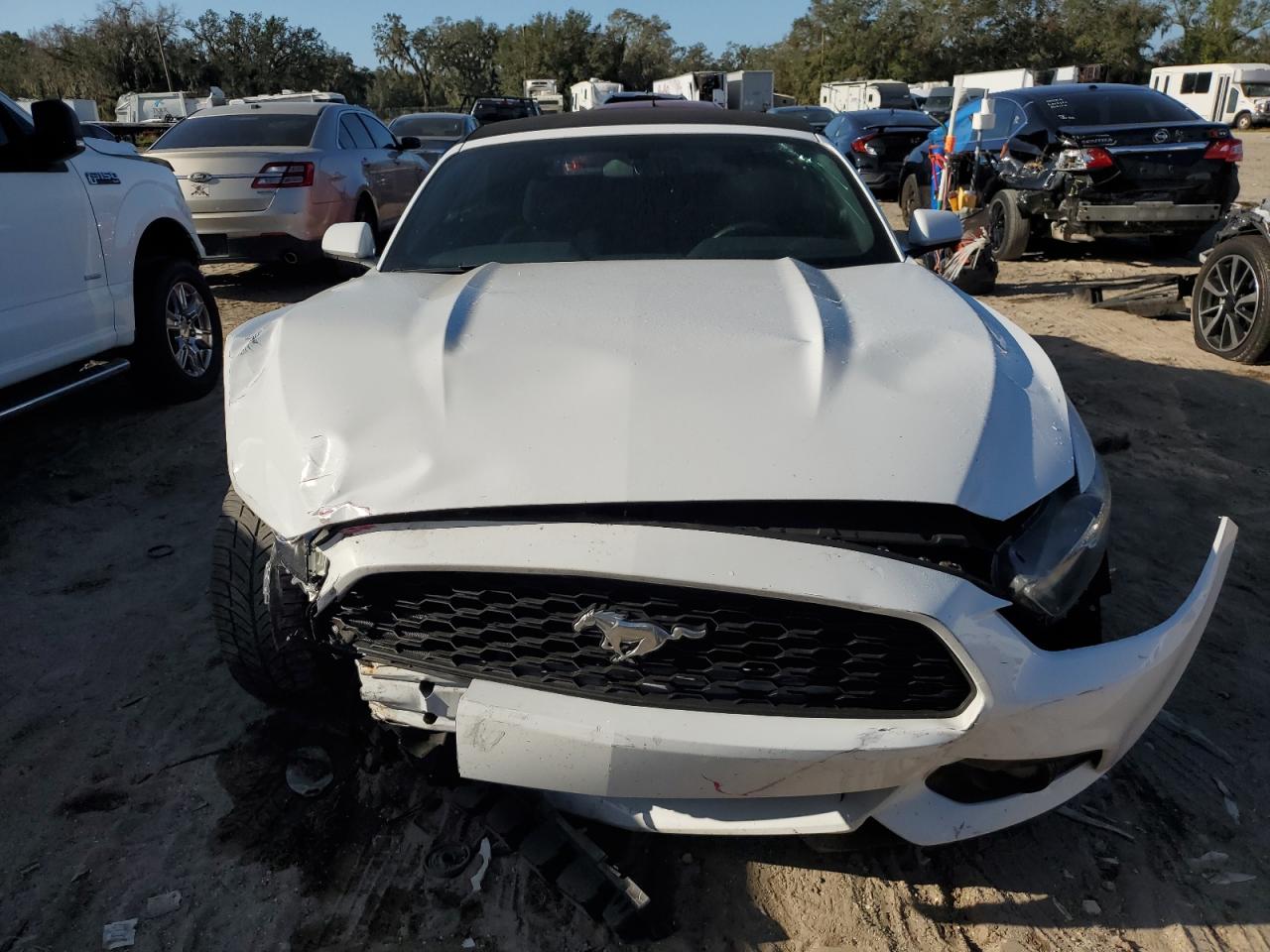 Lot #3032816030 2016 FORD MUSTANG