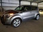 KIA SOUL + photo