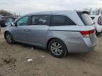 HONDA ODYSSEY SE 5FNRL5H37HB018244 photo