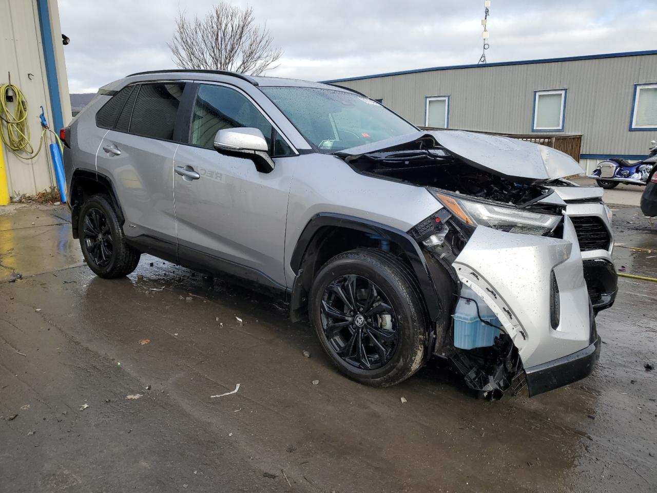 Lot #2991712087 2023 TOYOTA RAV4 SE