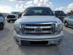 Lot #3025204632 2014 FORD F150 SUPER