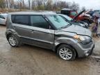 KIA SOUL + photo