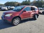 Lot #3025193189 2007 HONDA CR-V EXL