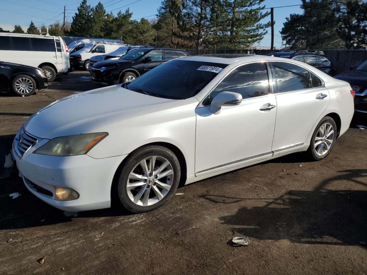 Lot #2991901170 2010 LEXUS ES 350