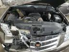 Lot #3023967206 2014 CADILLAC ESCALADE P