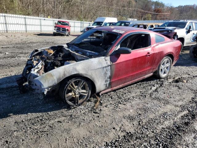 2014 FORD MUSTANG #3023433257