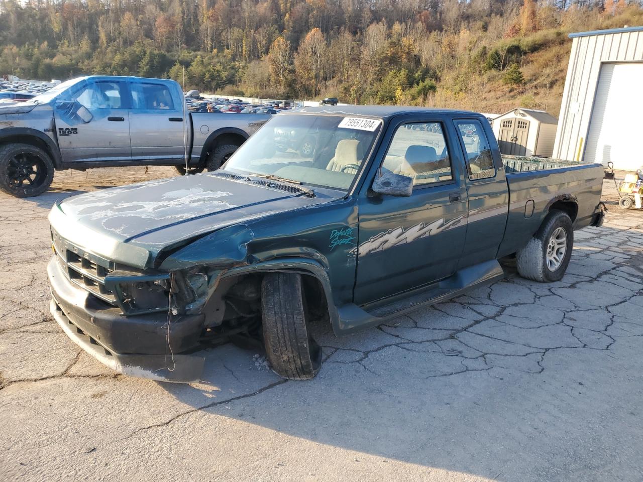 Lot #3030473477 1995 DODGE DAKOTA