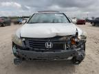 HONDA ACCORD EX photo