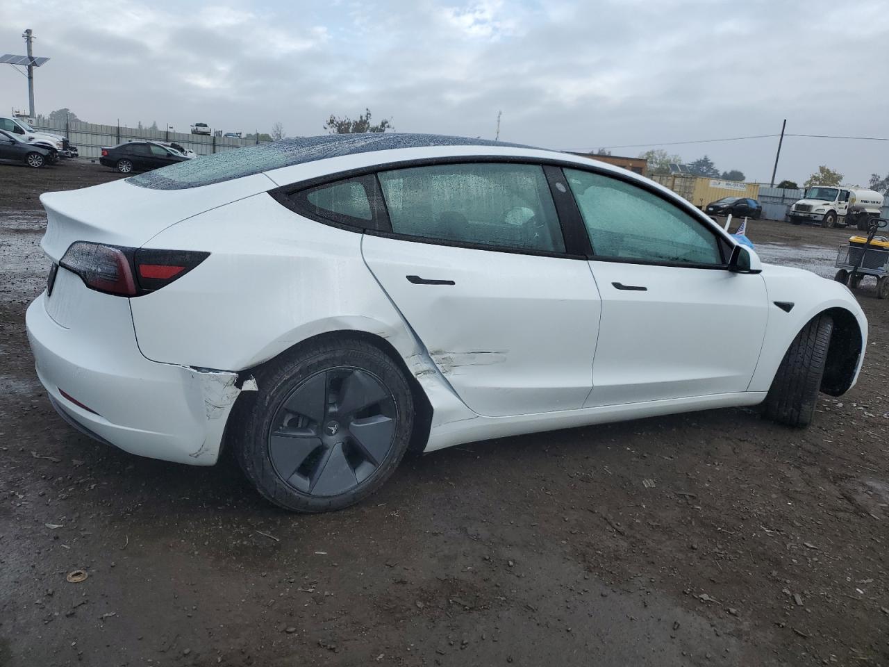 Lot #2986276241 2021 TESLA MODEL 3