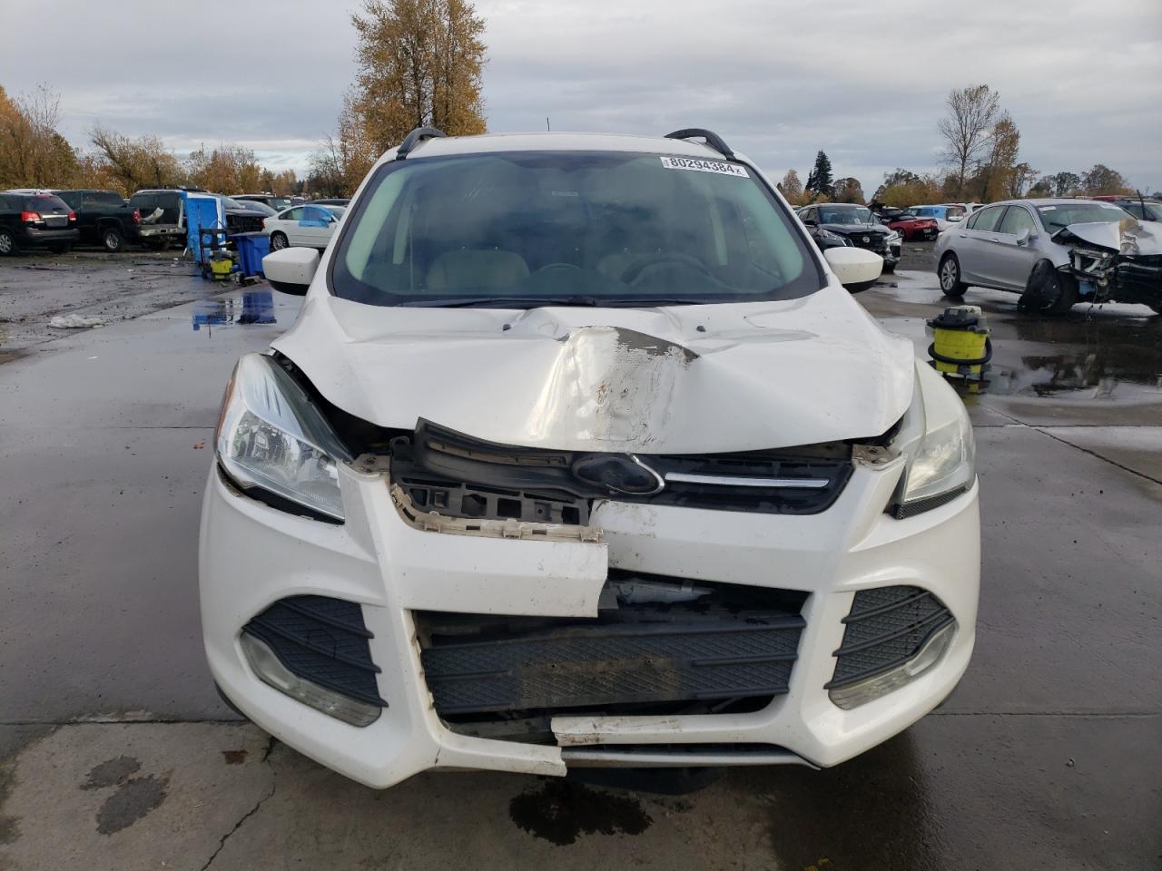 Lot #2991906172 2014 FORD ESCAPE SE