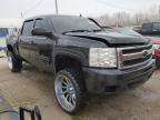 Lot #3020278478 2010 CHEVROLET SILVERADO