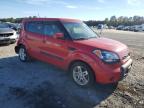 KIA SOUL + photo