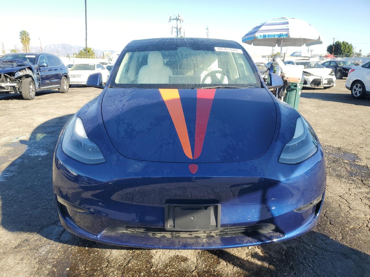 Lot #3030427474 2022 TESLA MODEL Y