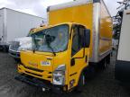 Lot #3024627759 2023 ISUZU NPR HD