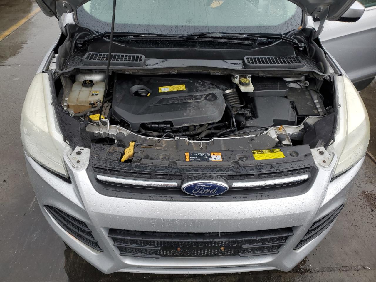 Lot #2969885062 2013 FORD ESCAPE SE