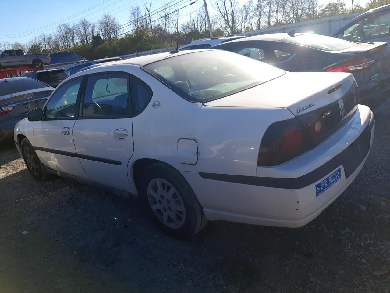 Lot #2989025524 2005 CHEVROLET IMPALA