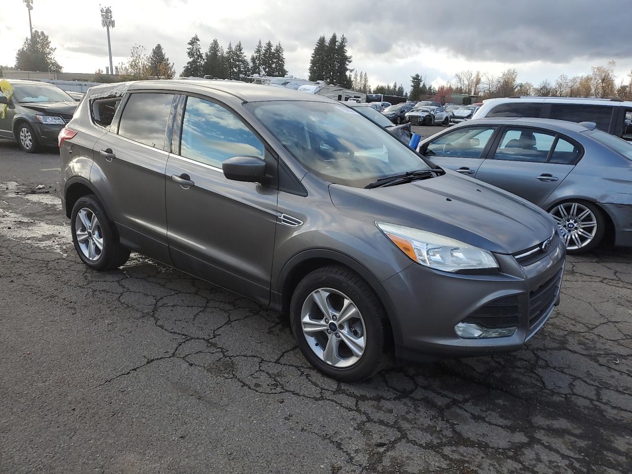 Lot #2987003755 2013 FORD ESCAPE SE