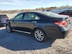 LEXUS ES 350 photo