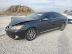 Lot #3024328092 2010 LEXUS ES 350