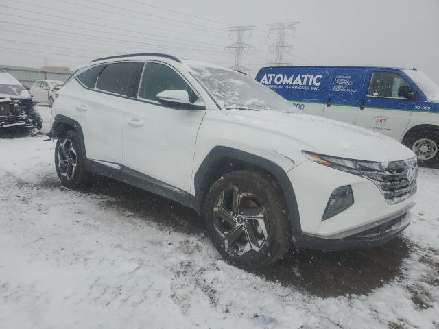 2023 HYUNDAI TUCSON SEL - 5NMJFCAE1PH244975