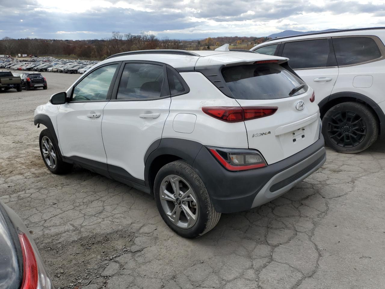 Lot #2962162152 2023 HYUNDAI KONA SEL