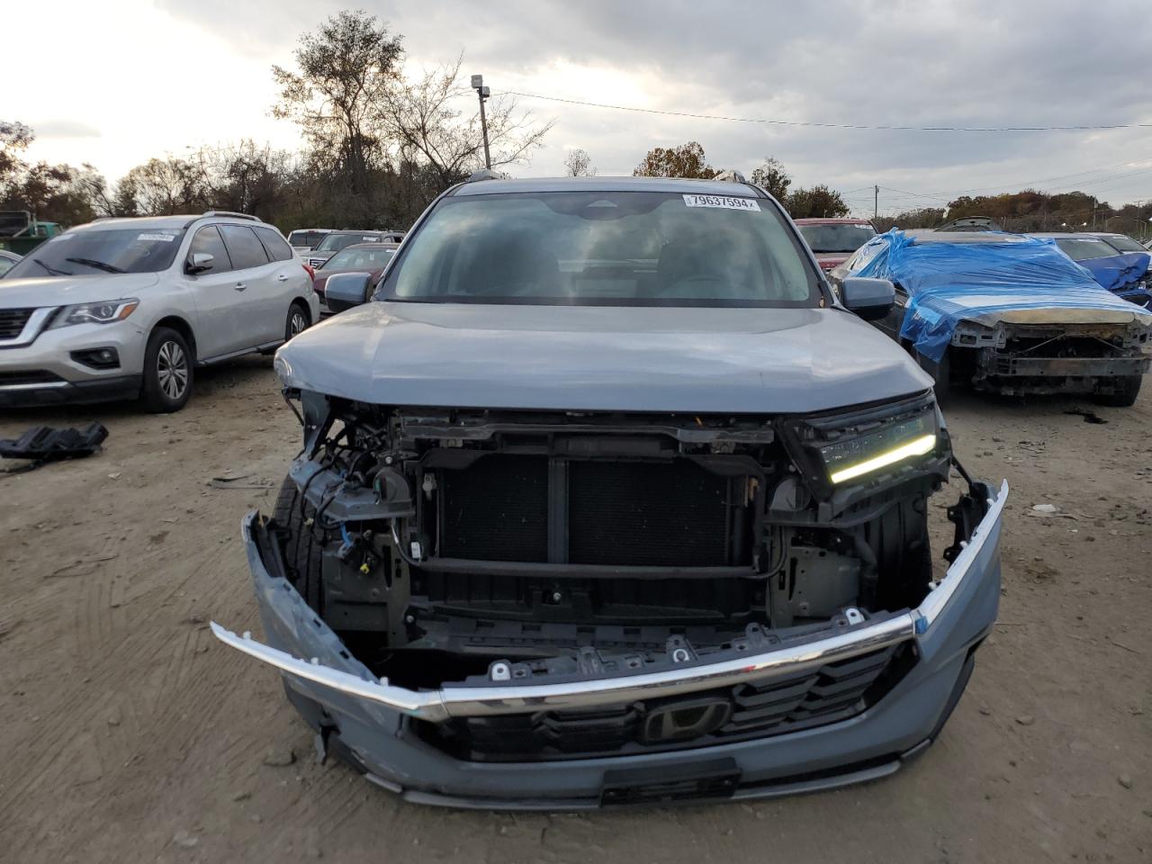 Lot #2969827005 2023 HONDA PILOT TOUR