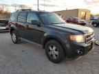 Lot #3025040258 2011 FORD ESCAPE XLT