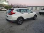 HONDA CR-V LX снимка