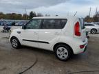 Lot #3023001226 2012 KIA SOUL