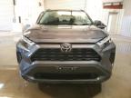 Lot #3024146821 2024 TOYOTA RAV4 XLE